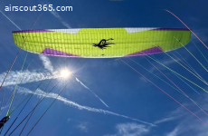 LeeLoo S, Lime, spezial großes DrachenLogo, check  04/28